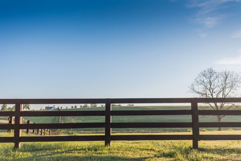 Equine Fence Installation in Roseville, CA