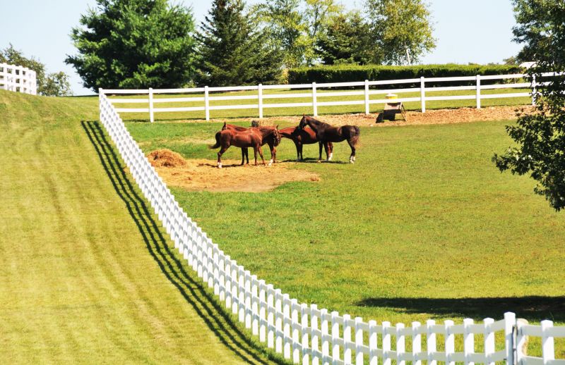 Horse Fence Replacement in Roseville, CA