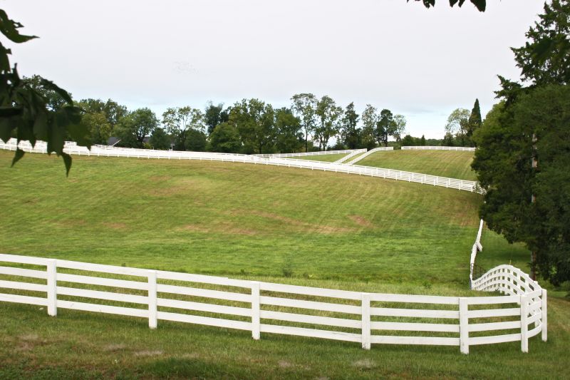 Horse Paddock Installation in Sacramento, CA