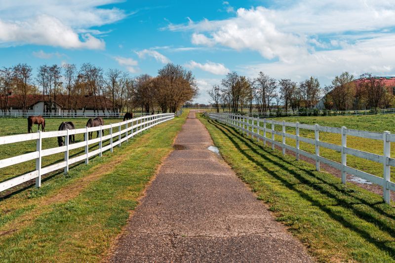Horse Paddock Installation in South Houston, TX