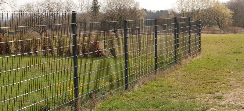 Metal Fencing