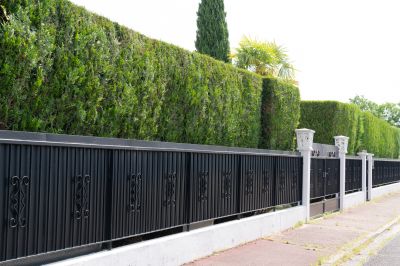 Decorative Metal Fences