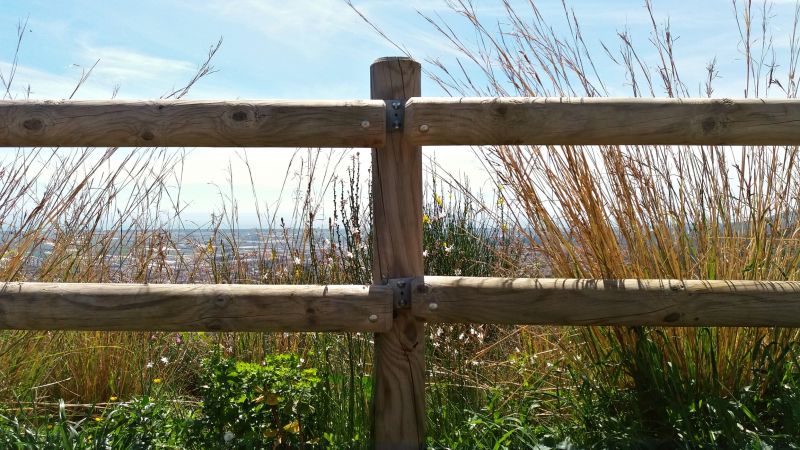 Redwood Fence Installation in Sacramento, CA
